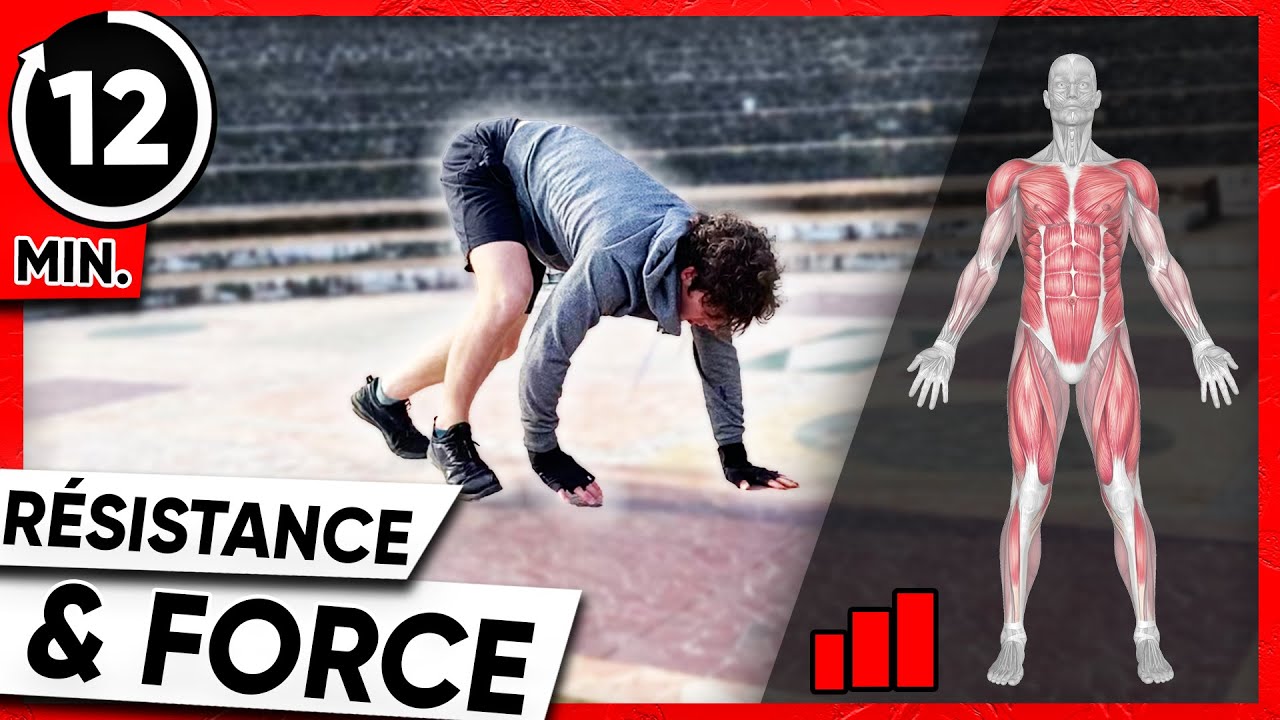 CIRCUIT TRAINING MUSCULATION au Poids du Corps - Intense & Efficace