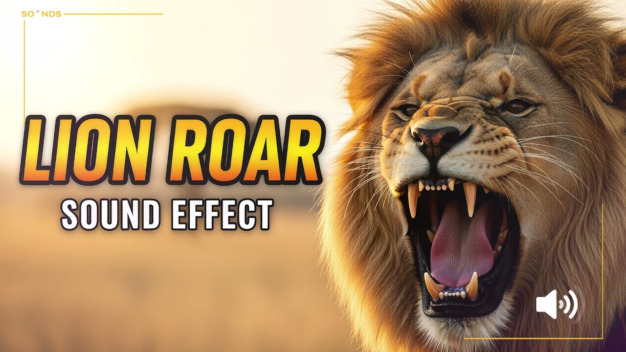 Lion Roar Sound – Powerful Wildlife SFX | Realistic Jungle Animal Roar (HQ Audio)