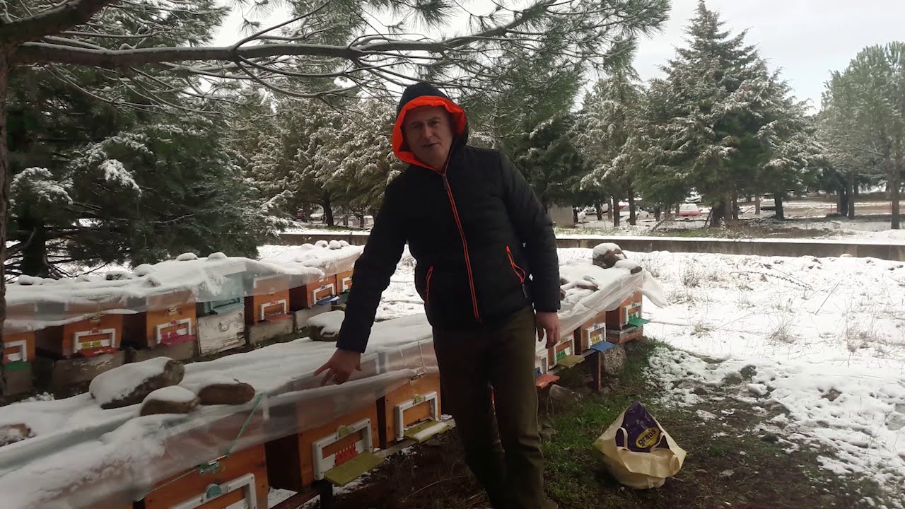 Arılar Soğuktan Ölmez Nemden Ölür. 18.01. 2021 Beklenen Yağış Sonunda Geldi. Kar Altında Kışlatma.