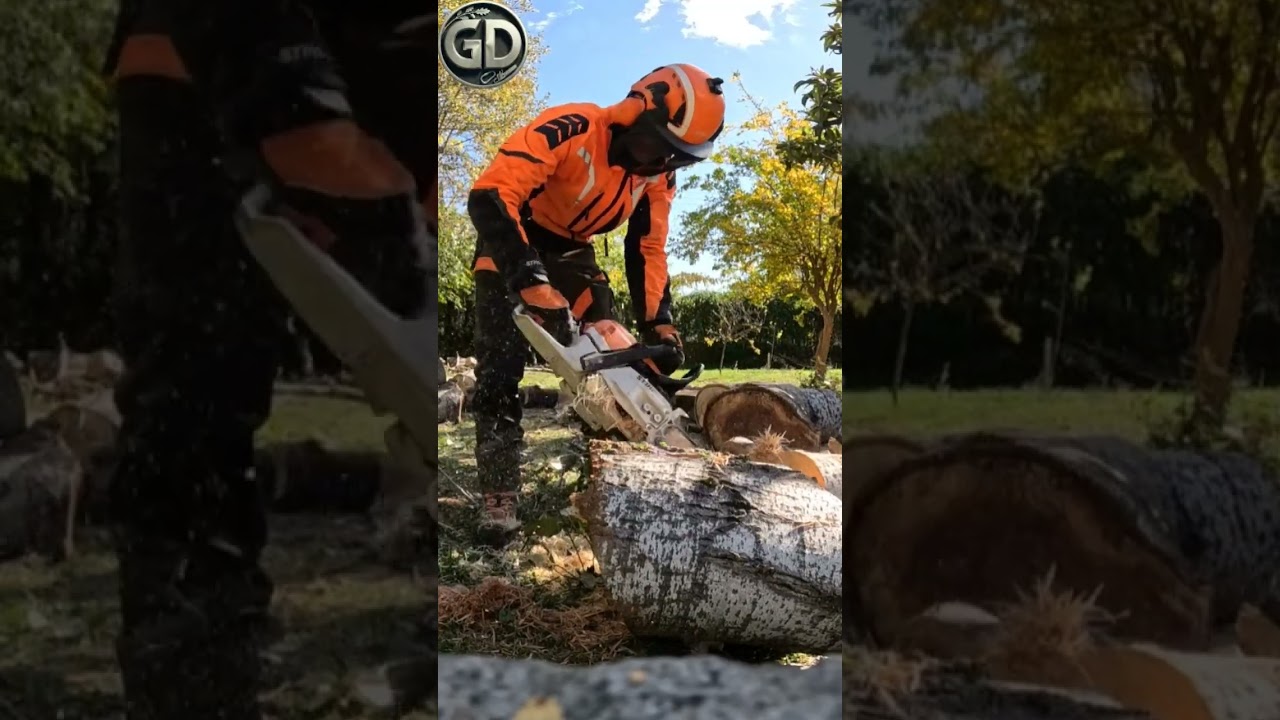 STIHL Power: Εκεί που η δύναμη συναντά την ακρίβεια! 🪚🔥