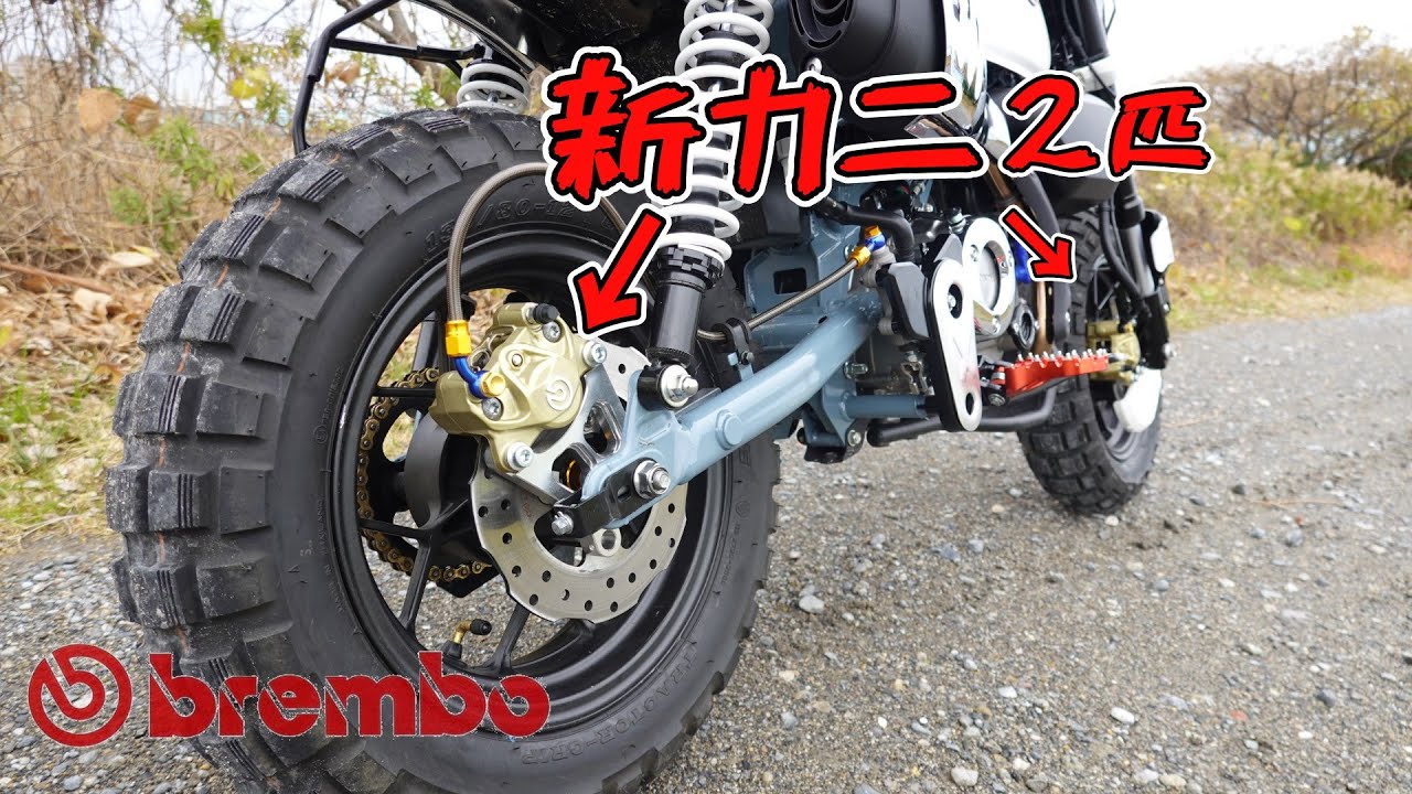 【盆栽】モンキー125キャリパー交換【DIY】