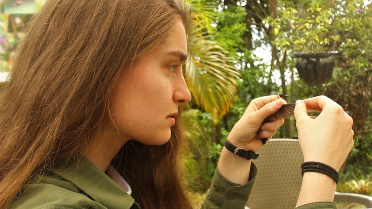 Meet our 2024 SES Explorer Alyssa Sargent