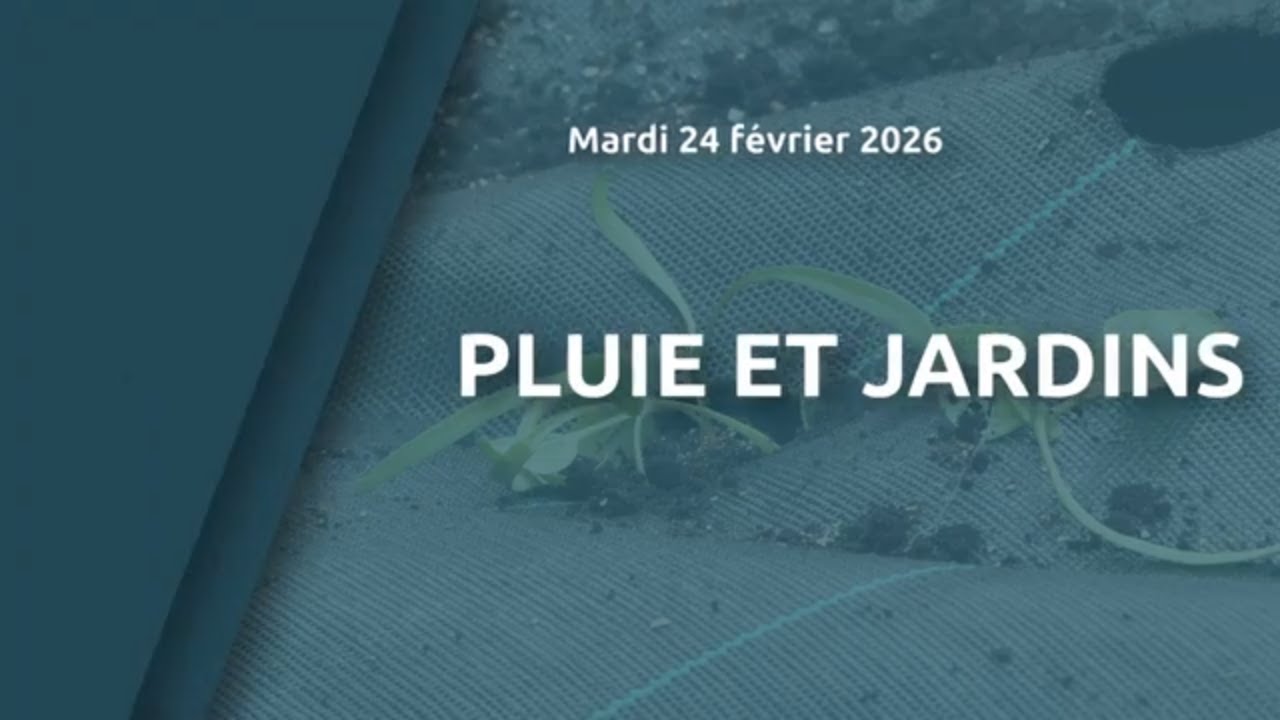 Pluie et jardins