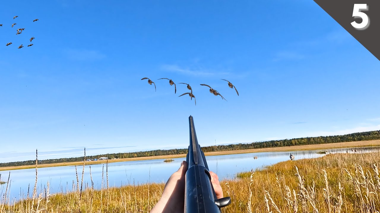 Duck Hunting Alaska | Solo Hunt Using A New Gun (Mine Got Lost)