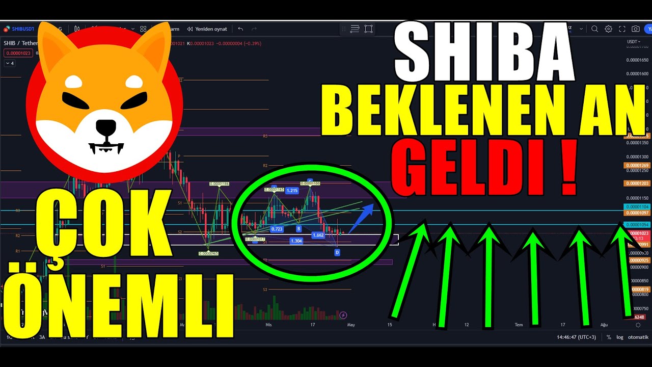 SHİBA TARİHİ ANALİZ ! FİYAT BURADAN Y&Uuml;KSELEBİLİR -  🚨 SHİBA HABER SHİBA ANALİZ SON DAKIKA