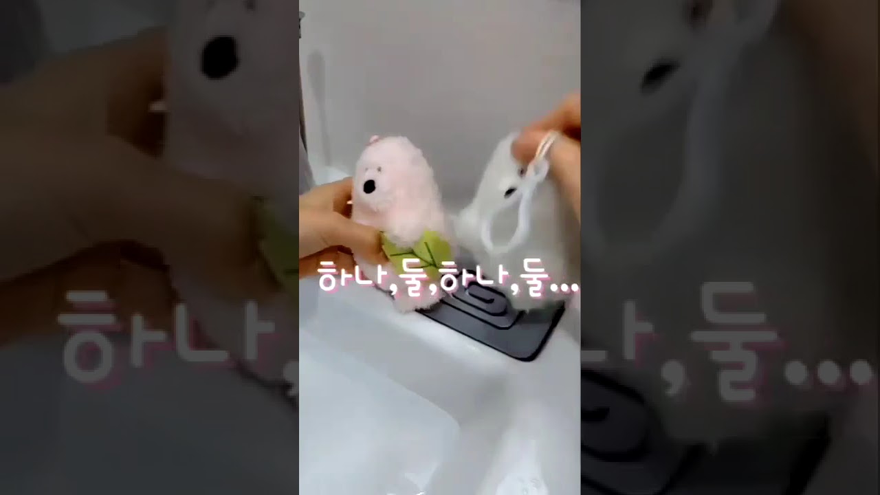 내롱이와내룡이 목욕시간🛁