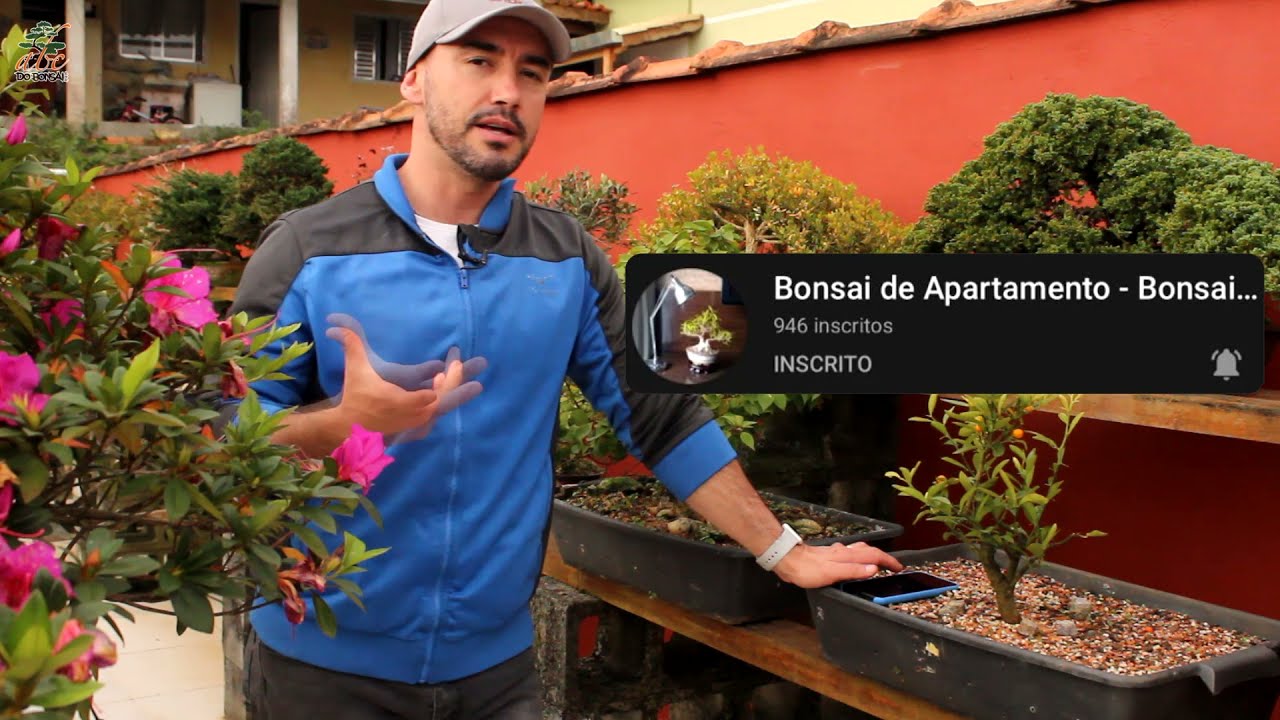 BONSAI SENDO CULTIVADO COM ILUMINAÇÃO ARTIFICIAL - ABC DO BONSAI RESPONDE
