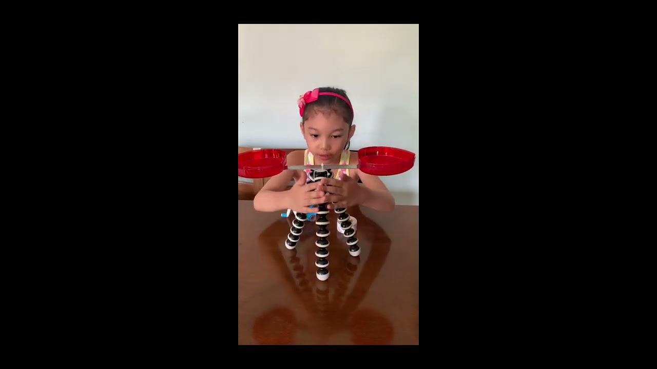 Diy platform balance