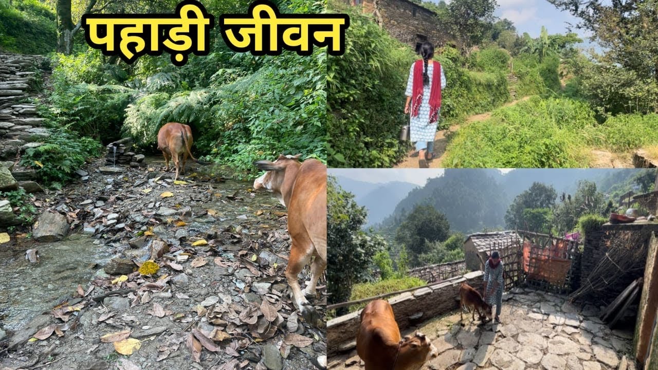 अब धूप होने लगी है पहाड़ों में😍 कितना सुकून है😇।।
