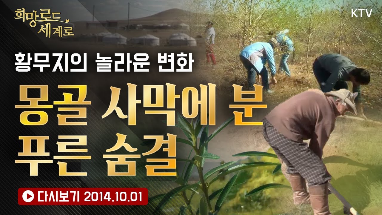 몽골 사막을 푸른 숲으로! 황무지에 생명의 숨 불어넣는 K-녹색 전사들｜푸른 몽골로 재탄생하는 기적의 현장! 황무지가 숲으로 변할 때까지 나무 심는 한국인들의 열정 스토리