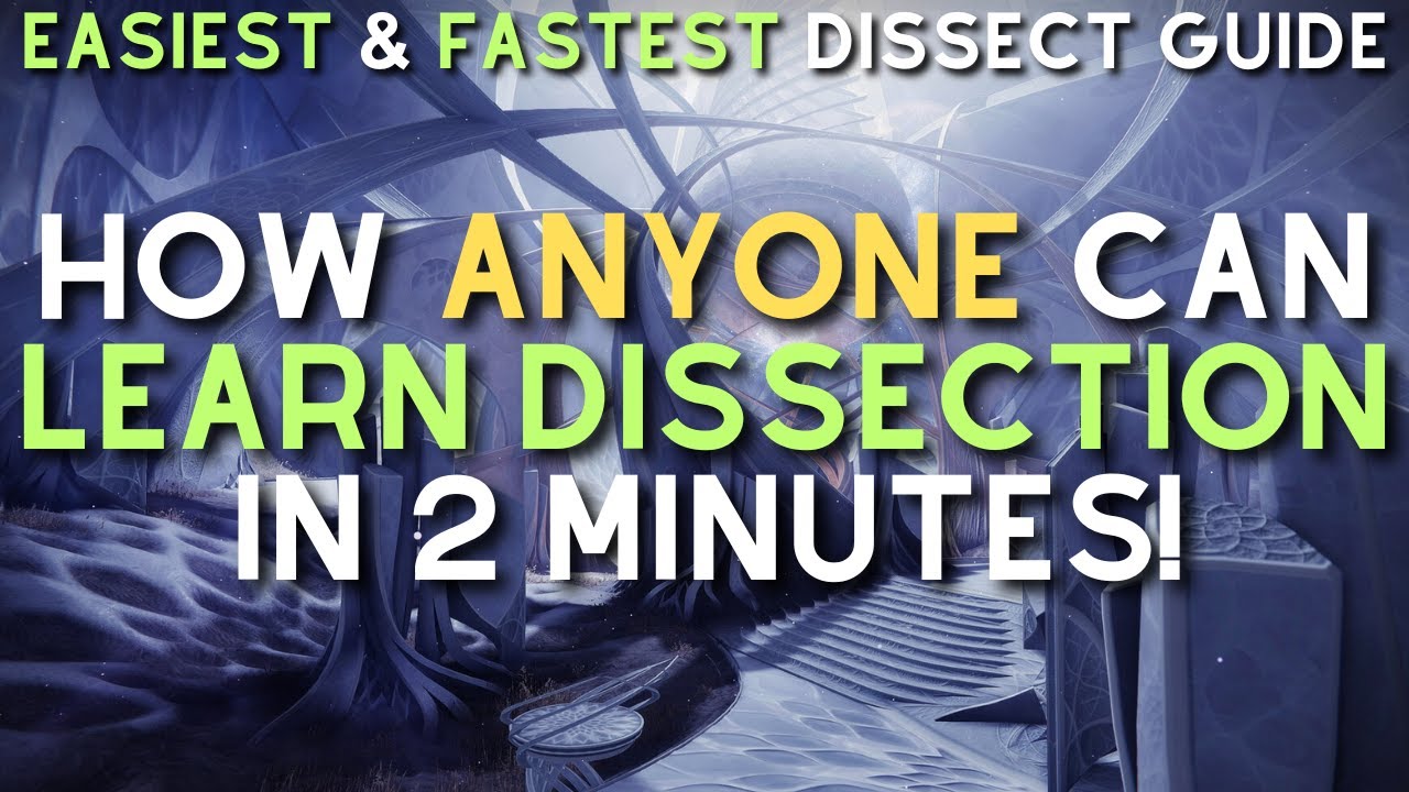 The EASIEST Dissect Guide You've Seen GUARANTEED!