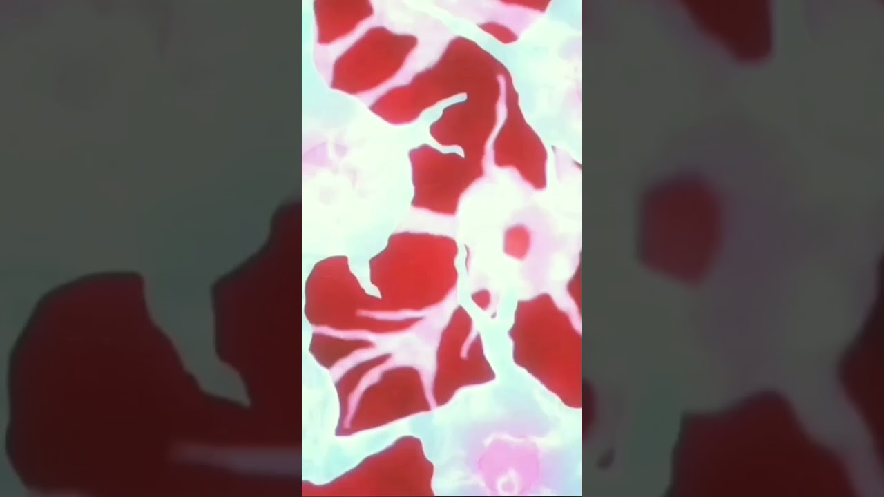 fatty transform (anime cheat skill) #tiktokgame #anime #cheatskill