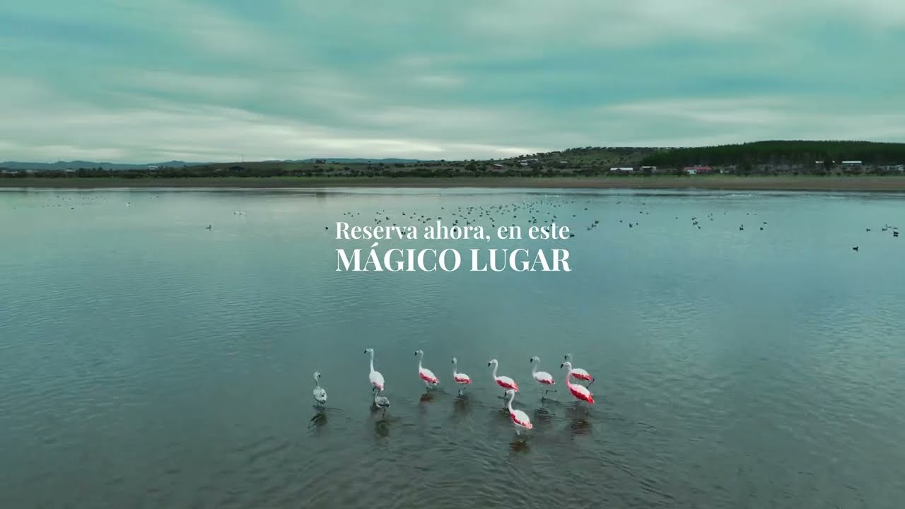 PRESENTAMOS: VI&Ntilde;AS DE MALLERMO 🥰✨ PARCELAS AGR&Iacute;COLAS 100% PLANAS 🌳☁️