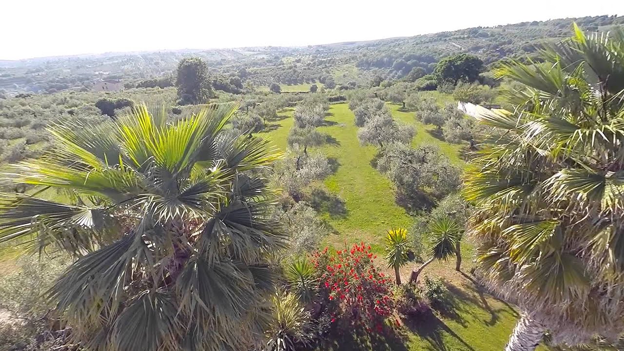 TENUTA DEI COLLACCHI