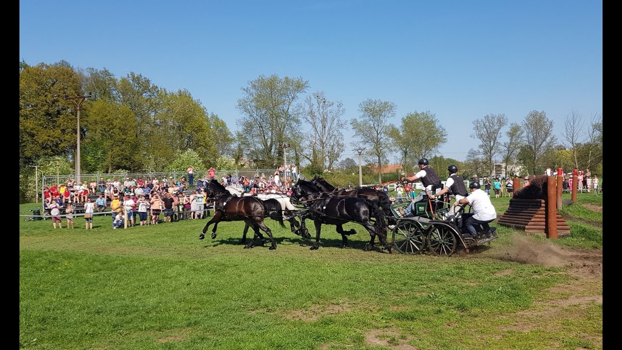 Rudolfův pohár NH Kladruby n/L - Maraton