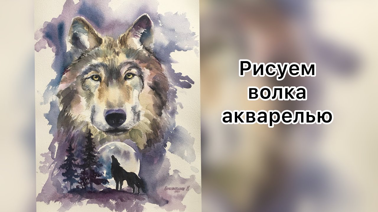 Волк акварелью/Wolf watercolor