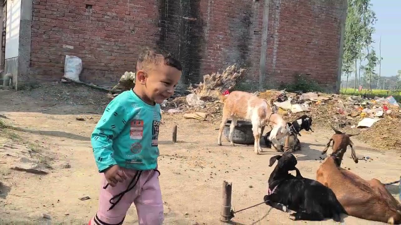 New video banye hi @videos #letest_viral_video #viral_video #trending 