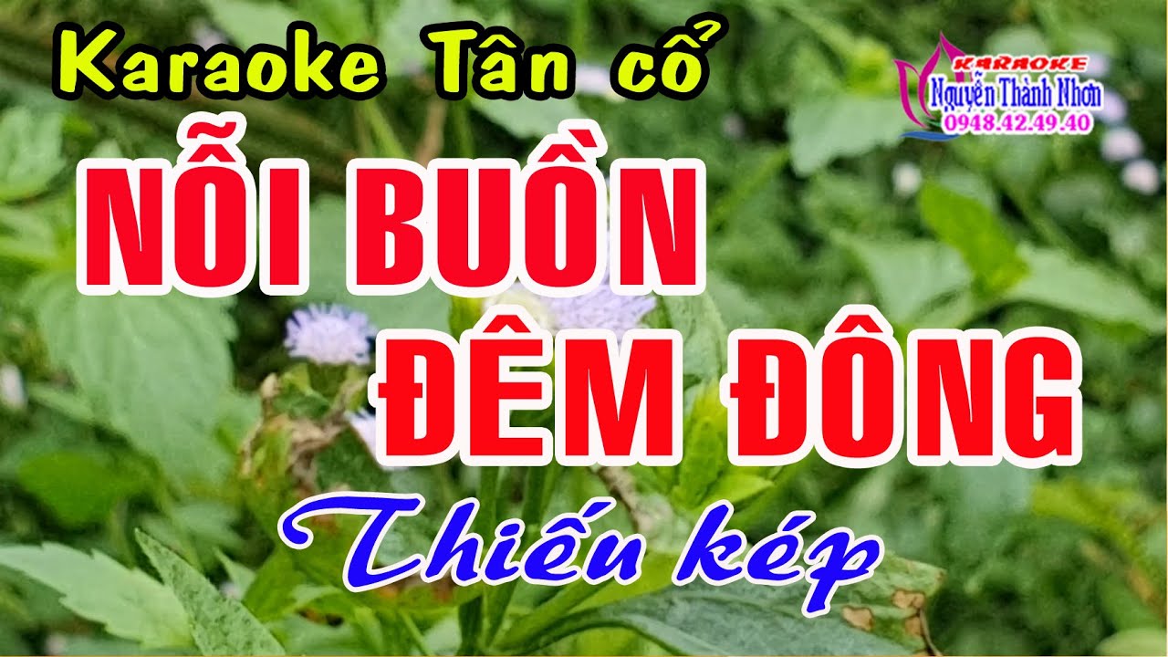Karaoke tân cổ NỖI BUỒN ĐÊM ĐÔNG - THIẾU KÉP [ Hát cùng Thu Trang ]