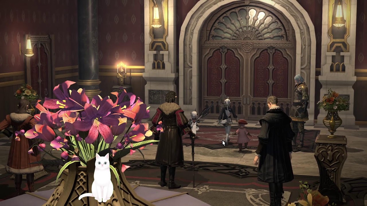 【FF14新手台】繼續推圖了!從小白豆芽開始的FF14之旅！EP.23 零基礎新手冒險 歡迎老手指導 不跳劇情 同步招募戰友👫 水晶碼NCT2879