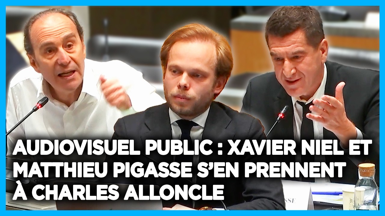 Xavier Niel et Matthieu Pigasse critiquent la commission d&rsquo;enqu&ecirc;te sur l&rsquo;audiovisuel public