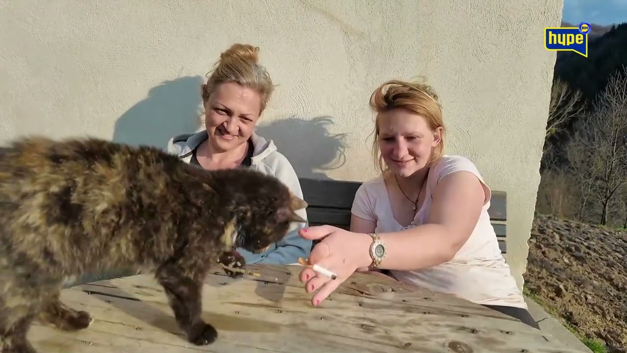 E imal šta ljepše nego pomagat? Ovo je tako lijepo Fata oduševljena?