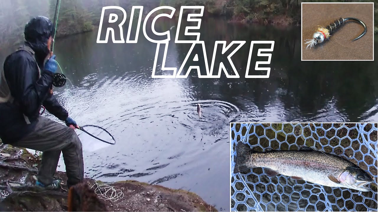 Rice Lake Fly Fishing for Freshly Stocked Rainbow Trout [North Vancouver, BC]