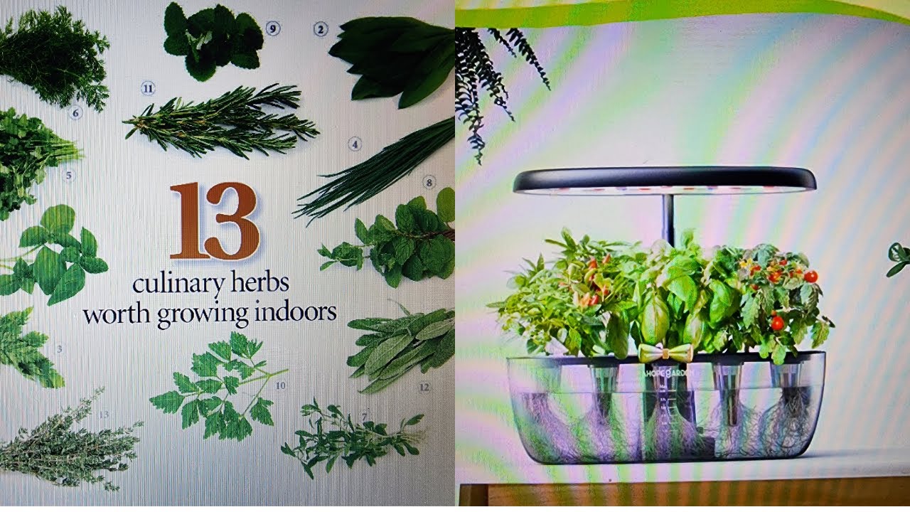 AHopeGarden Indoor Hydroponic Garden Unboxing - Culinary Herbs Grown In The Comfort of Your Kitchen