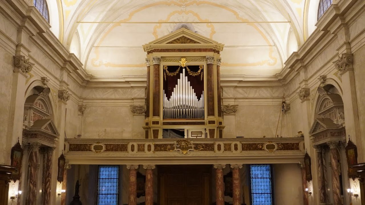 Concerto  organo Callido 1824 - Pedavena (BL) - Organista Manuel Tomadin