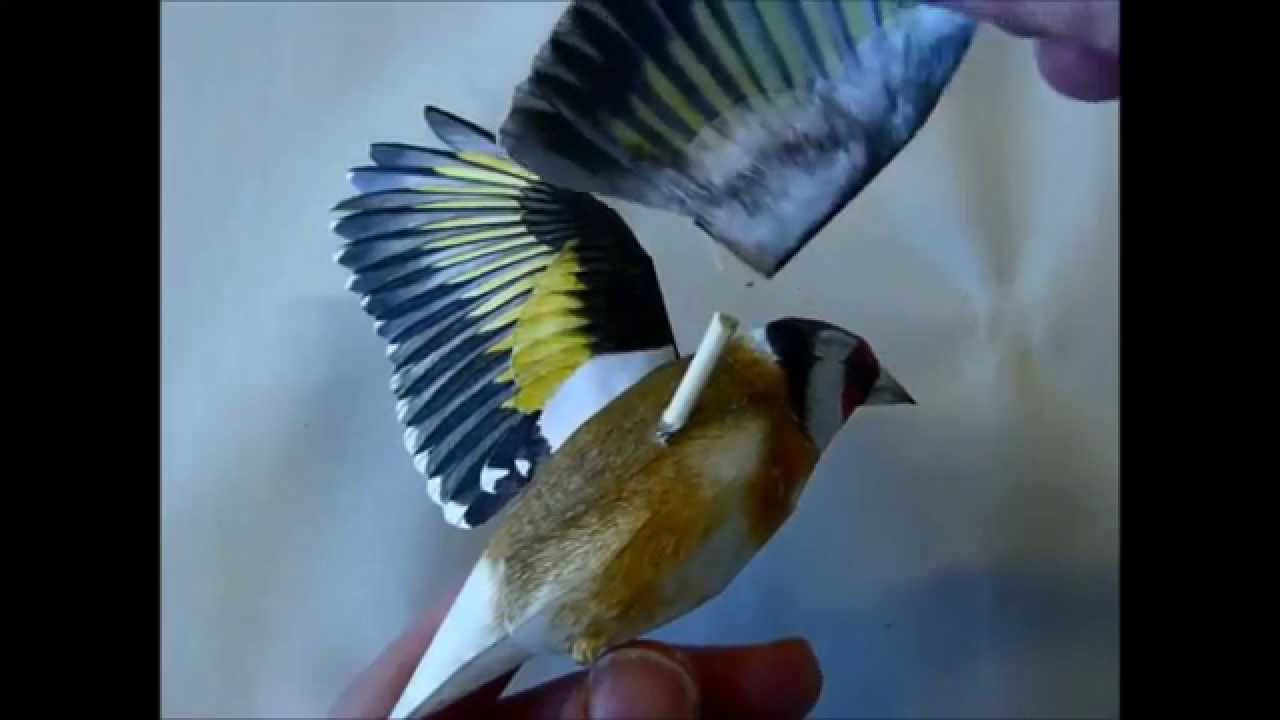 Incredibly realistic 3d papercraft bird