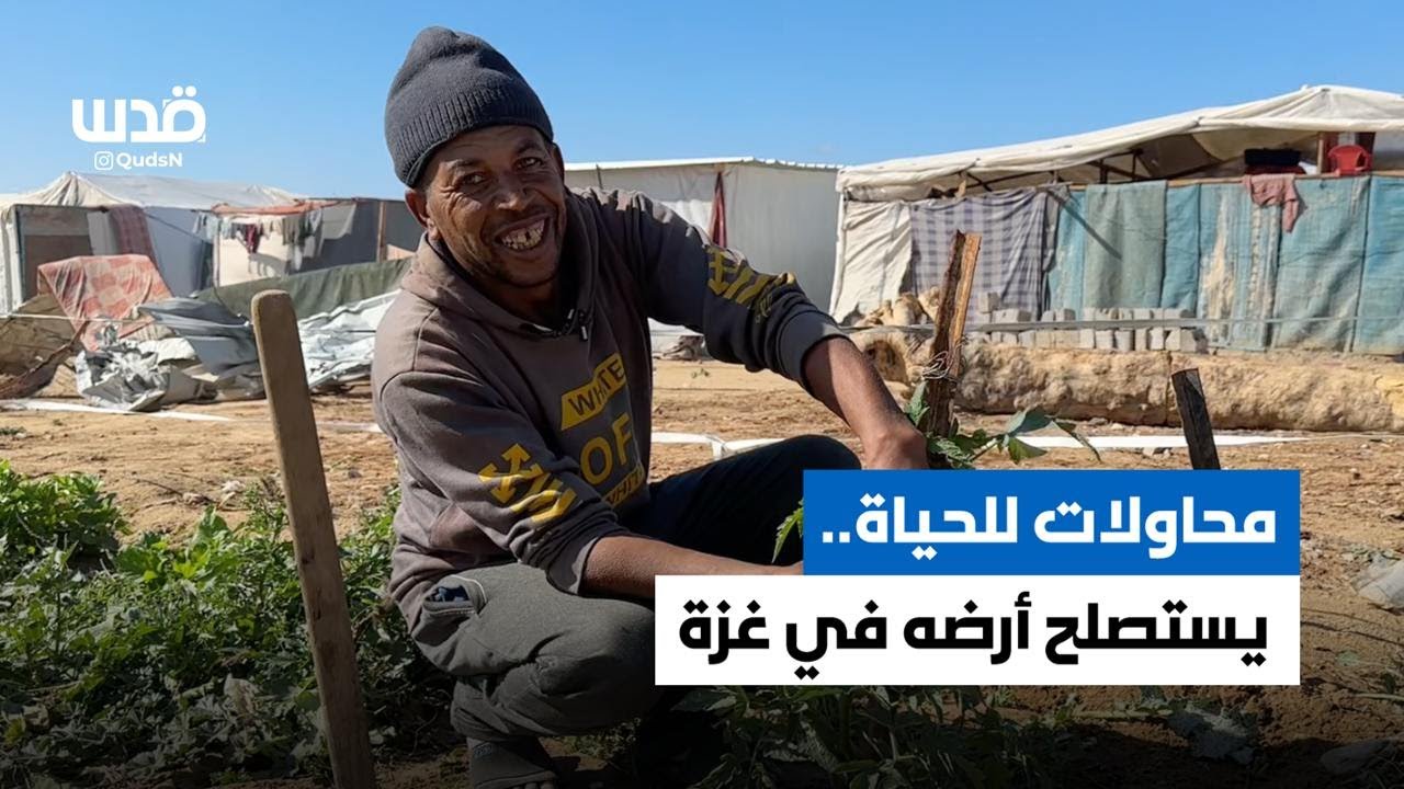 محاولات للحياة في ظل حرب الإبادة بغزة وشح المواد التموينية وغلاء الأسعار