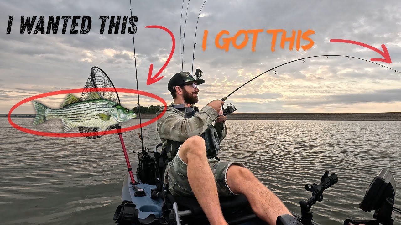 Lost a Wiper... I Landed THIS Instead