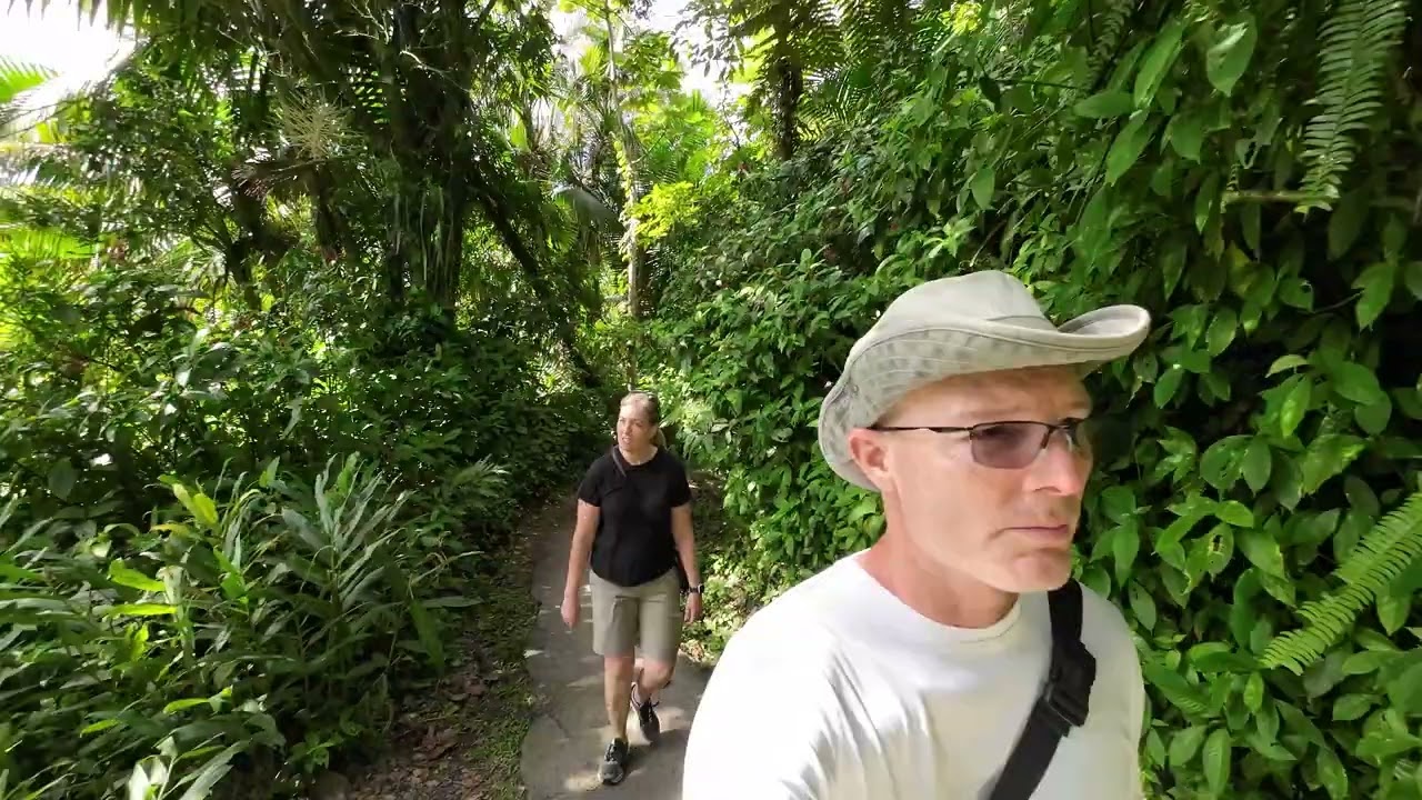 El Yunque
