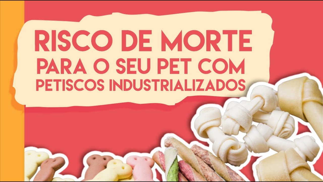 AULA: Petiscos industrializados e o RISCO DE MORTE para o seu pet