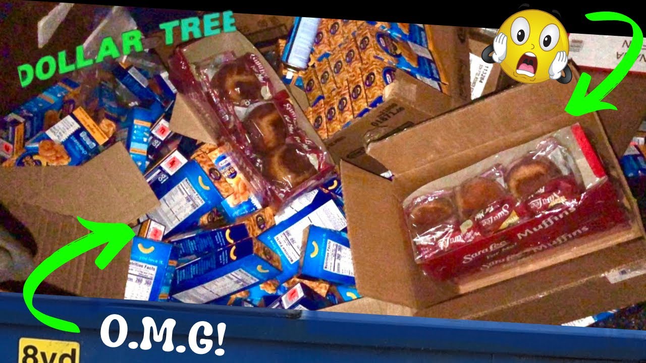 Dumpster Diving -OMG!! There’s Just SO MUCH…