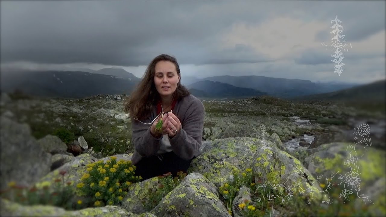 Low Cost Simple Living in the Forests of Sweden °Wild Medical Herbs and Swedish Dark Folk Music