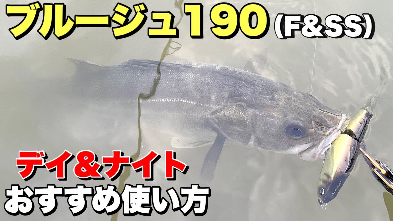 シーバスに使うジョイントルアーのコツとおすすめな使い方