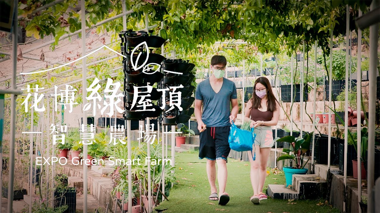 【110年 臺北好農】花博綠屋頂智慧農場 / EXPO Green Roof Smart Farm