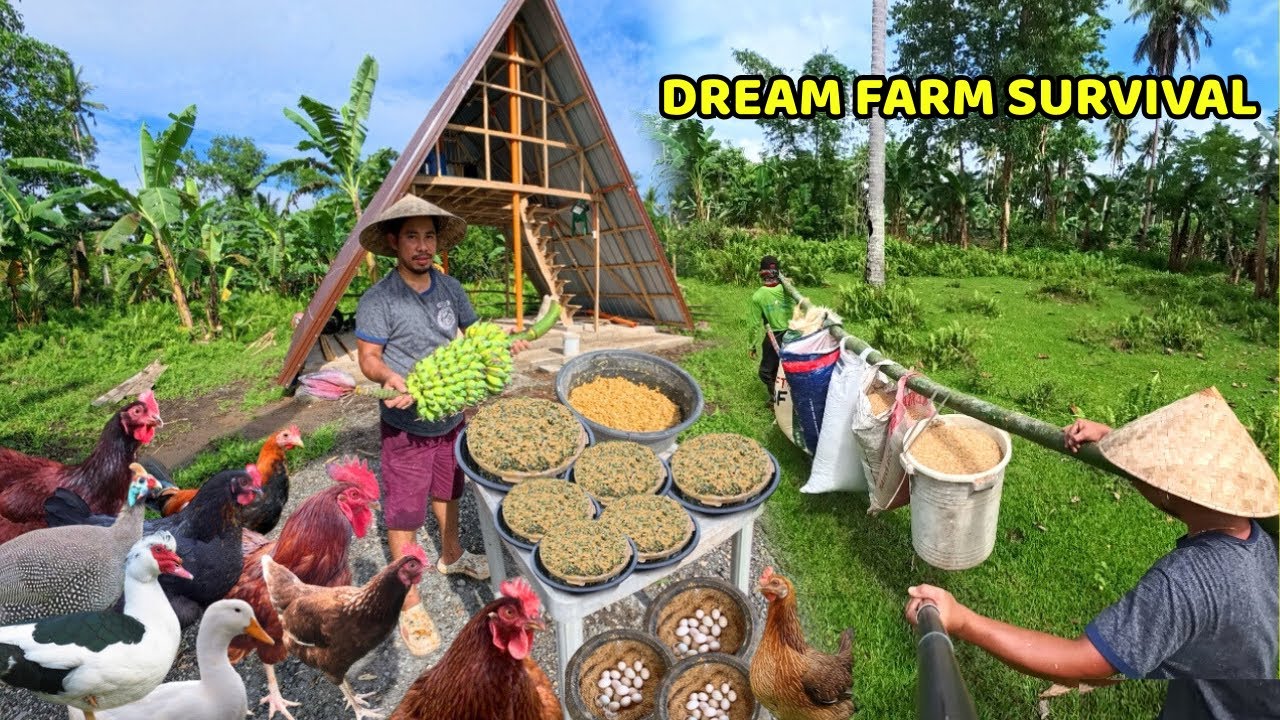 LIMANG TRUCK NG RICE HULLS PARA HINDI NA MAPUTIK ANG KULUNGAN - BUHATAN UMAGA HANGANG HAPON