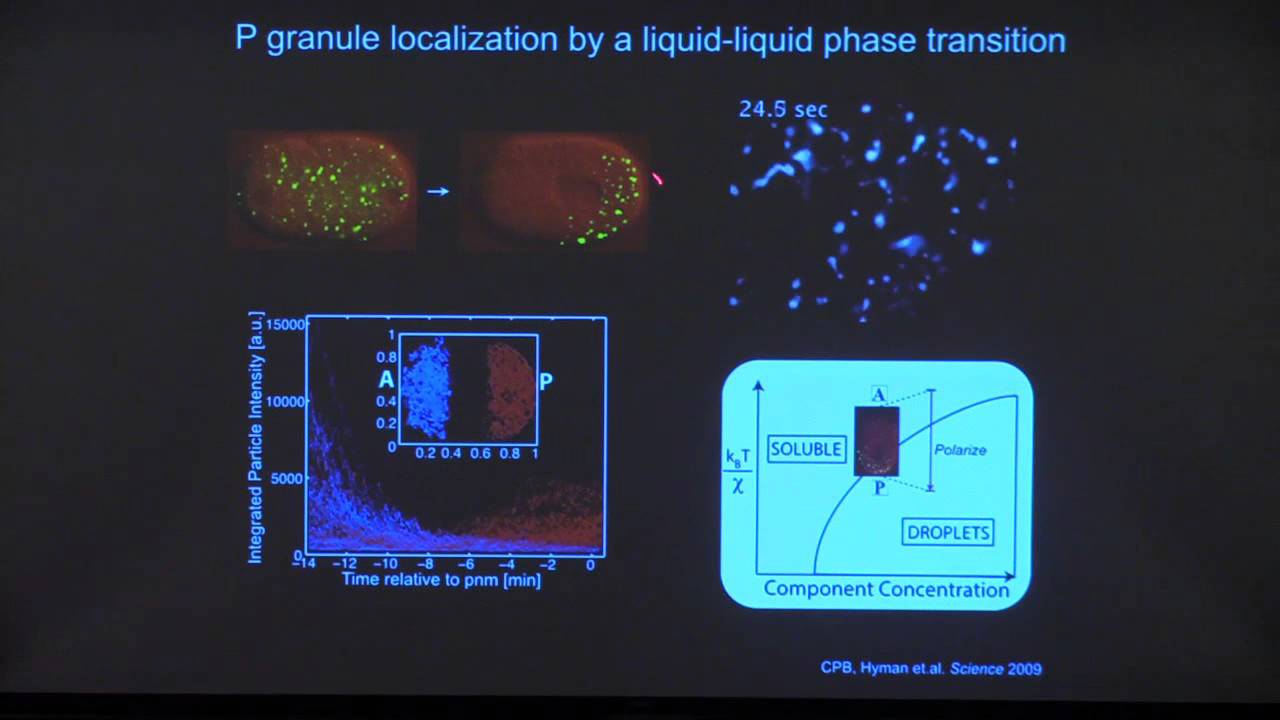Colloquium, September 17th, 2015 -- Measuring the Intracellular Dew Point...