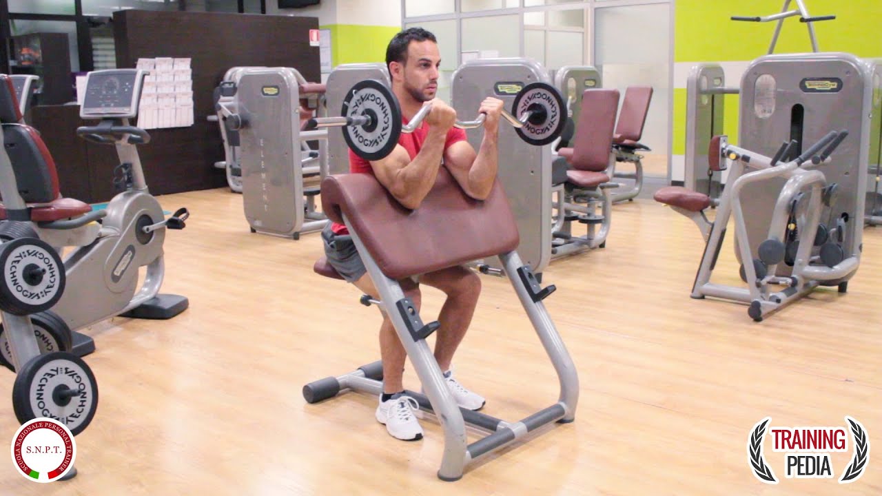 CURL PANCA SCOTT