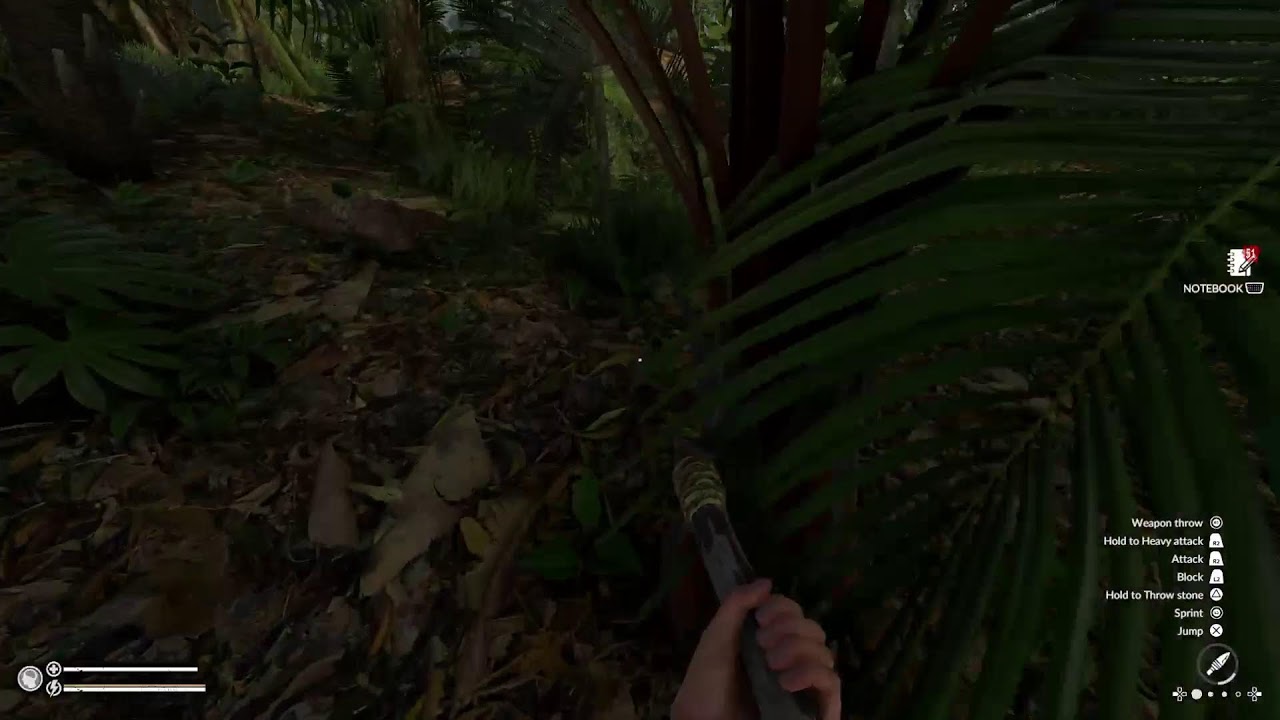 The Green Hell survival