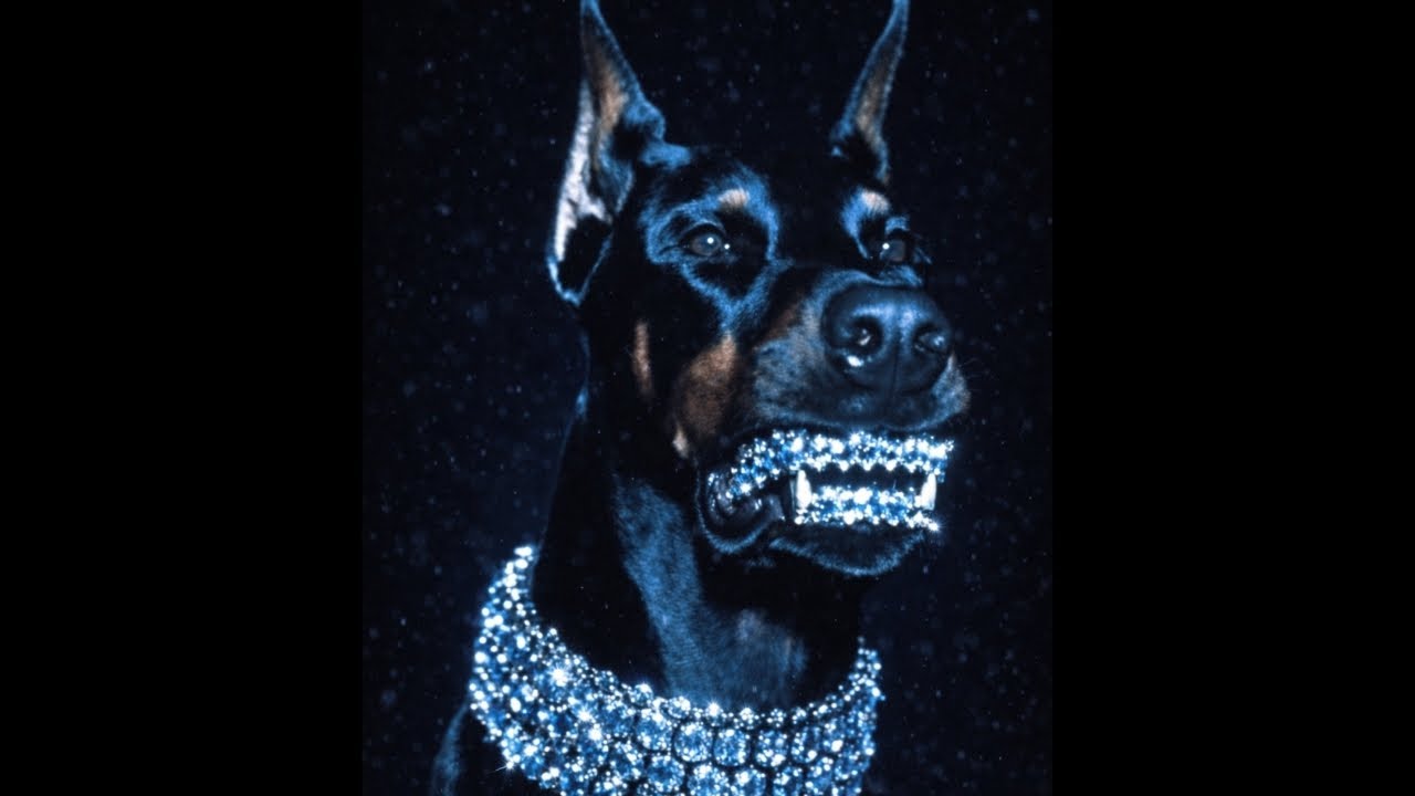[FREE] FUTURE X METRO BOOMIN TYPE BEAT - 'BANDZ' | TYPE BEAT | TRAP INSTRUMENTAL | FREE BEAT 2026