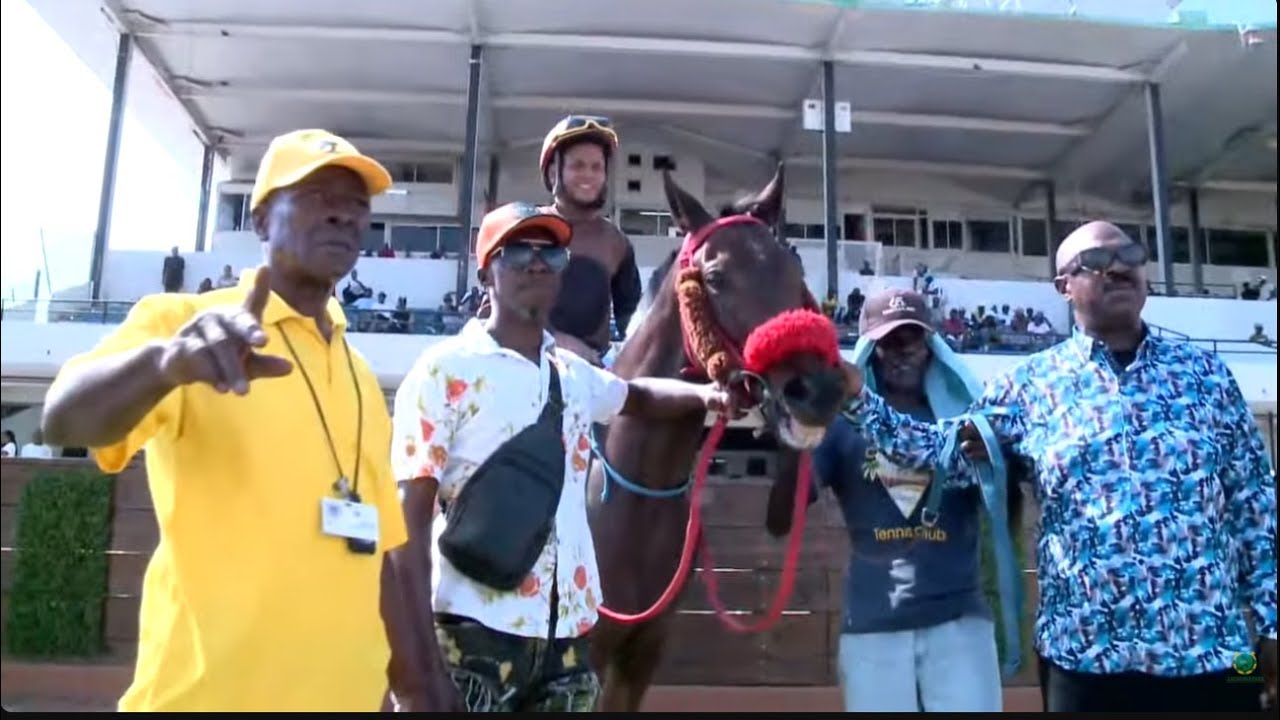 JAMAICA RACING: Tigray Express - 5 Wins In A Row, Sat, Nov 22, 2025, 3rd