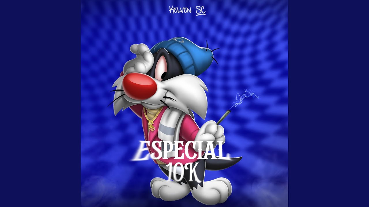 MEGA FUNK ESPECIAL 10K