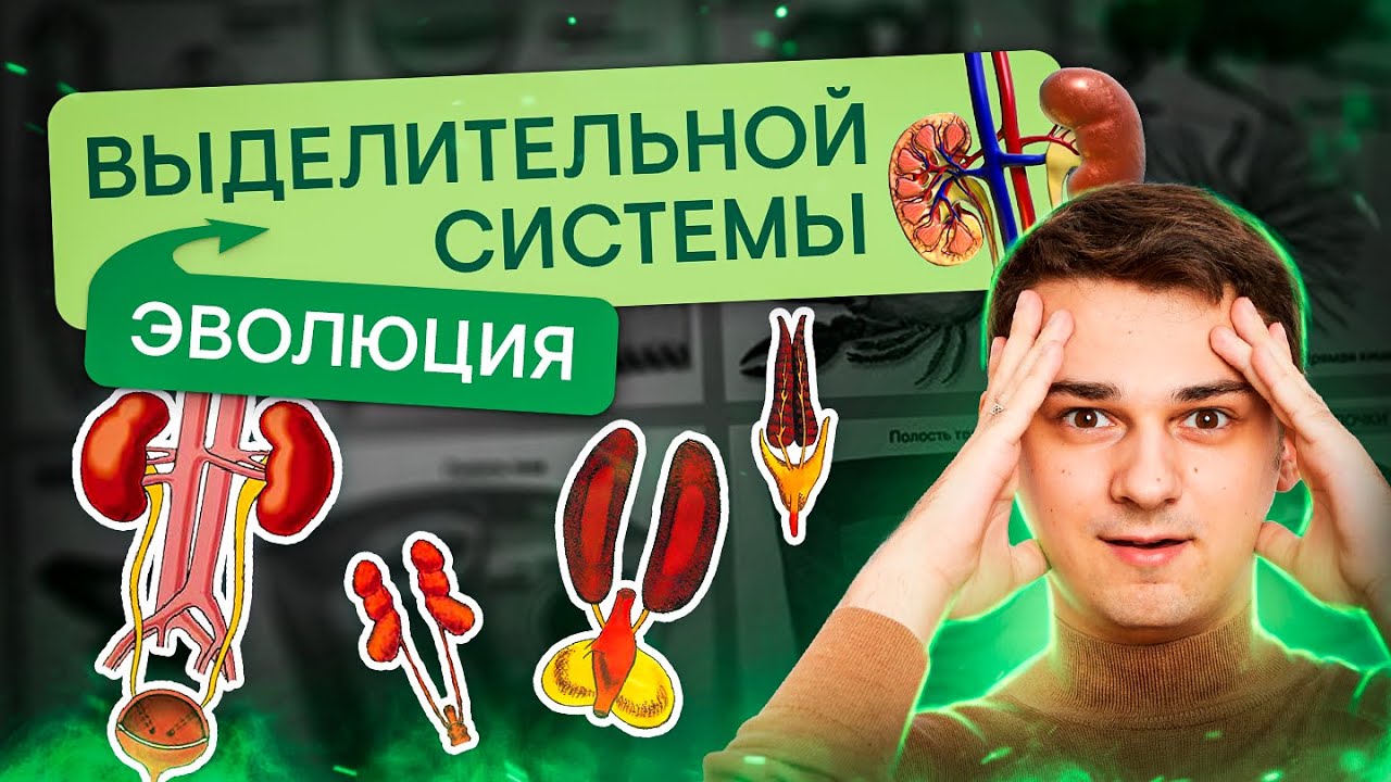 Эволюция выделительной системы | Биология с Мишей Гис | ЕГЭ 2024 | SMITUP