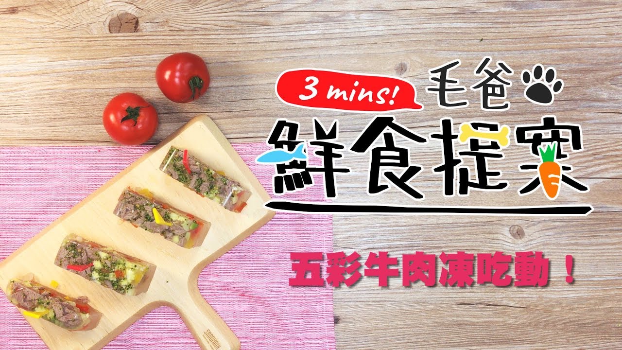 【毛爸鮮食提案#23 五彩牛肉凍吃動】 #狗狗限定