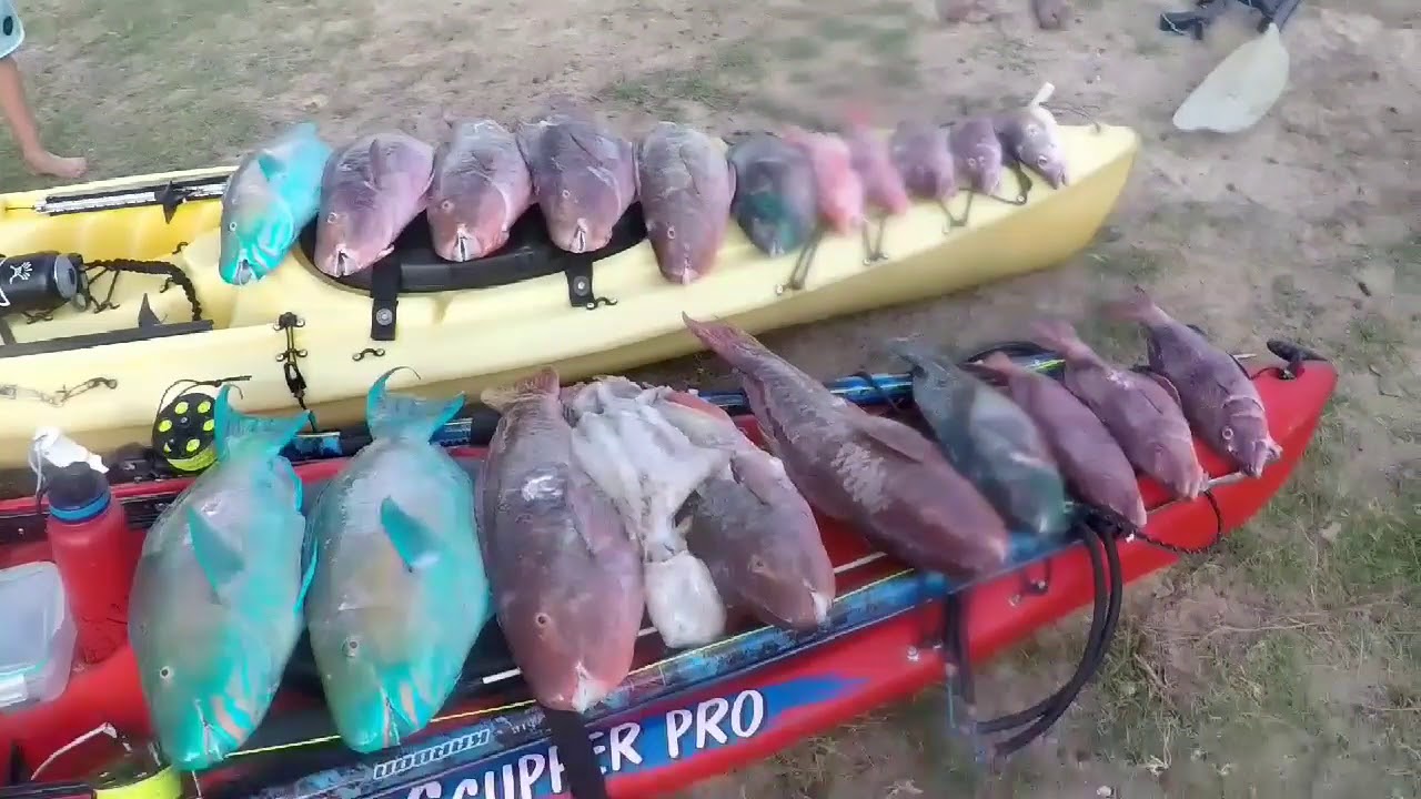 Spearfishing the beautiful waters of Oahu