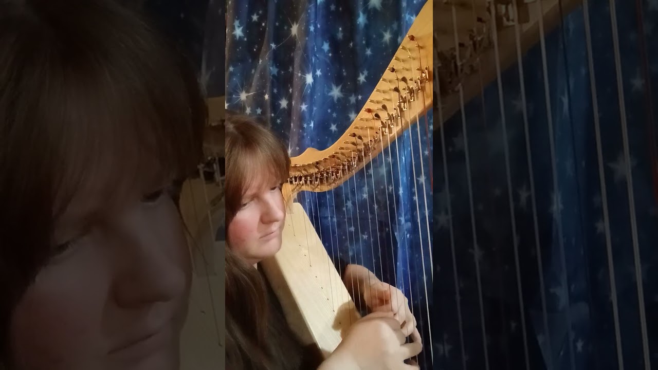 Captain Picard's Air, from Star Trek NG, The Inner Light on Harpsicle Celtic/Folk Harp + SHEET MUSIC
