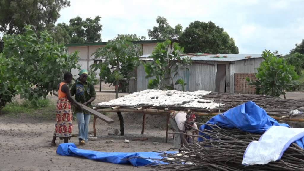 Reportage Bateke Village de Mutiene (RDC) , Avril 2015