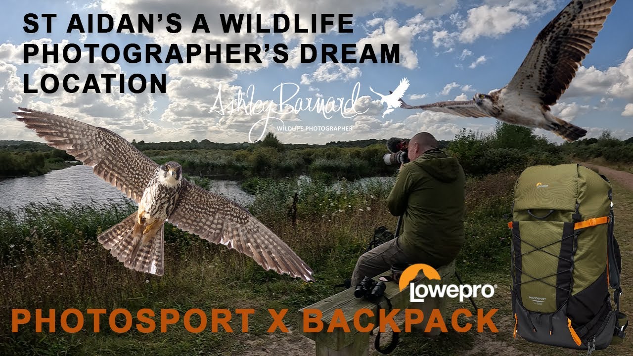 A wild time at St Aidan's Nature Reserve